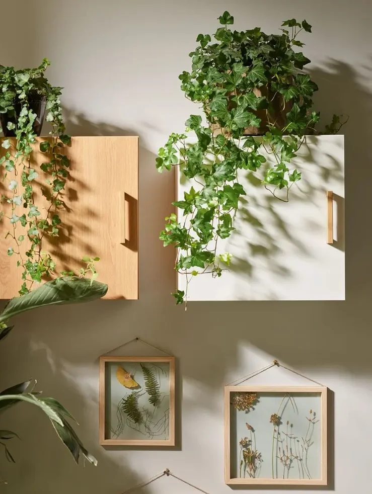 Zielony bluszcz i rośliny pnące jako dekoracja ściany w sypialni.
